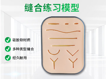 带壳伤口练习模块