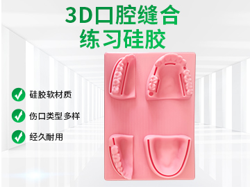 牙齿硅胶模具